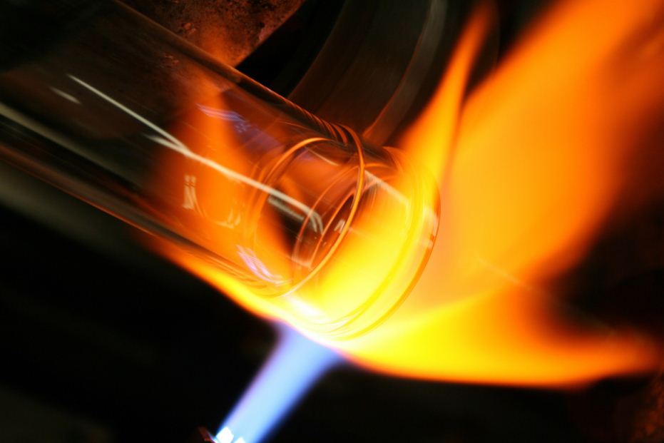 The Specific Heat of Solids Gases
